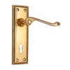 "Abiram" Brass Door Handle with Plate 